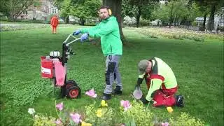 Baumpflegearbeiten im Remspark