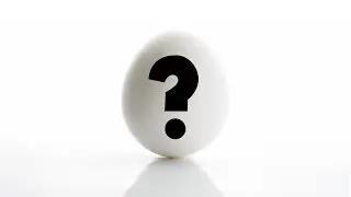 Don't Starve Together - Attempting to Hatch Tallbird Egg