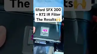 ILFORD SFX 200 + Hoya R72 Infrared Filter Results!