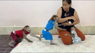 OMG!! Brother Sovan & Mom Being Protective For Sister Kobie & Try To Stop Naughty Sovanny Not To...,