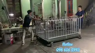Giới thiệu về cân lồng heo 500kg 1 tấn có gắn bánh xe đẩy 360