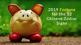 2019 Fortune for the 12 Chinese Zodiac Signs