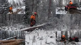 Myrskypuita hakemassa, kuormaajasta loppuu voima