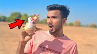 VIP Bomb Vs Coconut! VIP Bom किया इस नारियल को तोड़ पाएगा ? #thekrishnaxuz#youtubeindia.