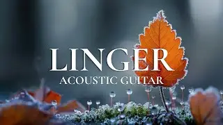 Relaxing Acoustic Guitar Music for Stress Relief, Study, and Deep Peace | LINGER