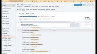 Pages have duplicate metadescription - Semrush audit issue