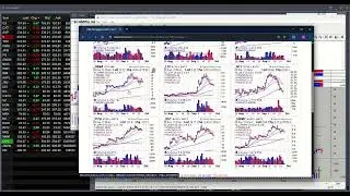 Deflationary tariffs and AI; The new career path; Uranium stocks