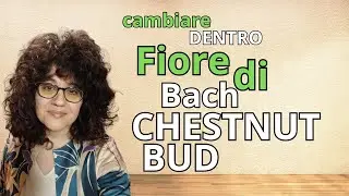 Chestnut Bud: il Fiore di chi commette sempe gli stessi errori