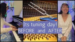 Can you hear the difference Before & After Tuning a Steinway Grand piano?