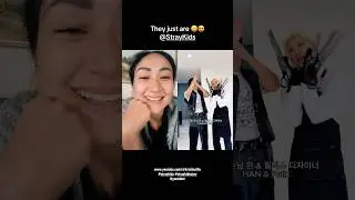 STRAY KIDS!😅😍 NEVER A DULL MOMENT!😍 #reactionsvideos #kpop #straykids #straykidsstay #youtuber