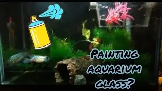 HOW TO: PAINT fish tank GLASS