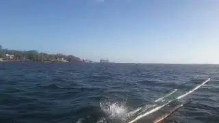 Botigues Island