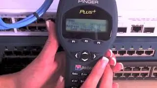 Psiber &mdash; обзор Psiber Pinger Plus