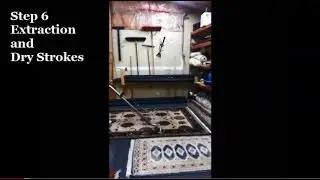 Greenway Area Rug Cleaning Step Six   Extraction and Dry Strokes