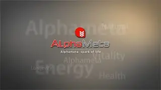 AlphaMeta training by Simon (Bahasa Subtitle)