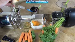 Sana vs. Angel Juicer im Test. Welcher Entsafter &uuml;berzeugt im Vergleich & bietet die beste Hilfe?