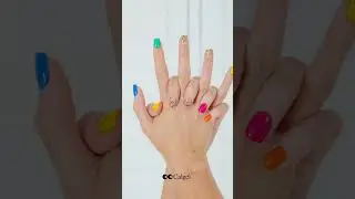 Calgel + Celebration collection