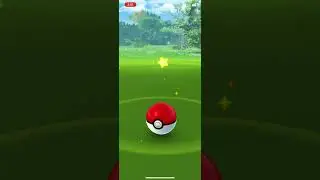 Perfect IV Shinx  ~ Shinx  Community Day 2021 (Pok&eacute;mon Go)