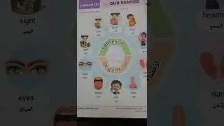 Grade 4  connect plus unit 1