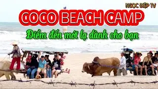 Kh&aacute;m ph&aacute; COCO BEACH CAMP x&atilde; T&acirc;n Phước huyện H&agrave;m T&acirc;n tỉnh B&igrave;nh Thuận #xuhuong#dulichvietnam#BT#