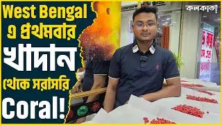 ১ পিস Certified Astrological Original Gems Stone Red Coral ₹200 Panna ₹300  Cat&rsquo;s Eye ₹600 Pukhraj