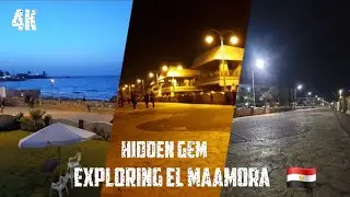 A Peaceful Walk in El Maamora | Alexandria’s Hidden Coastal Gem 🌊 in 2025 | 4k Quality