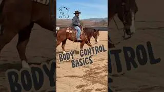 Body Basic #training #horse #fyp #horsetraining #reining #quarterhorse #horseriding #shorts #western