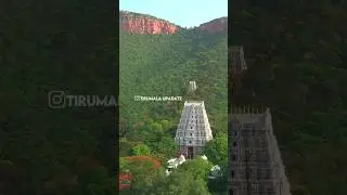 Om namo venkatesaya ||#Tirupati #tirumala  #droneview #tirumalatemple