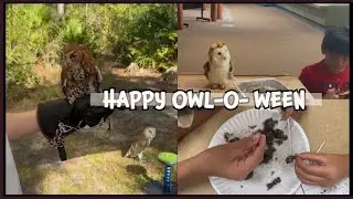 Let&rsquo;s Find Owls! Our Owl-ween Adventure at Brooker Creek Preserve! | Owl-O-ween #owls