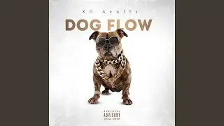 DOG FLOW