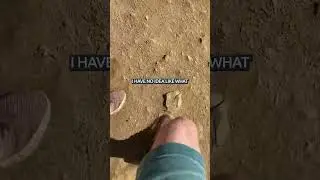 What happened at Venice Beach