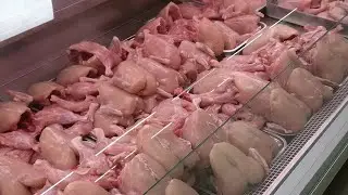 Fastest Chicken Cutting Skills|| Chicken shop || How to cut chicken? || Halal meat shop visit