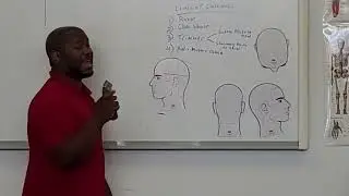 Concepts of fading using Oster 76's vs. Andis Master&rsquo;s