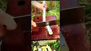 sugar cane cutting technique using a sharp knife #shorts