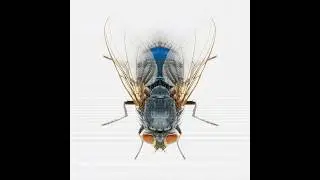 ANDREW CAMPBELL - BRITISH ARTIST - VISUALBITES - ART-FACX12 #andrewcampbellartist #andrewcampbellart