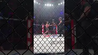WALK-OFF WHEEL KICK KO FOR SADIBOU SY 😱 (via @PFLMMA) #shorts