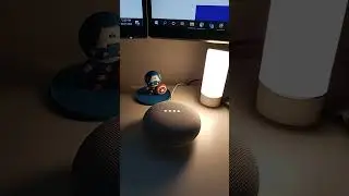 Ask Google About Time