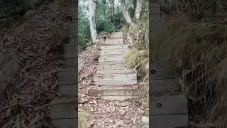 Hike with us from Corin Dam to Mt Franklin Road 🏃&zwj;♂️🏃&zwj;♀️ #hiking #canberra #lifeover50