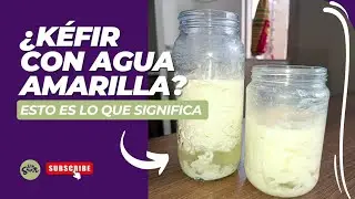 ¿Tu kéfir se cortó? No lo botes antes de ver esto 🤔
