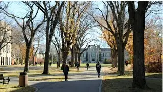 International students in Sask. say decision to lift 20-hour work cap should be made permanent
