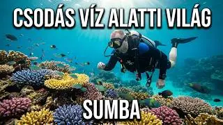Scuba dive. Csodás, víz alatti világ Sumbán!
