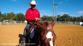 Mounted Shooting - Gun Safety - The 