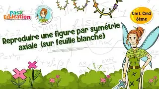 Reproduire une figure par symétrie axiale (feuille blanche) - CM 6ème Fée des Maths Leçon, Exercices