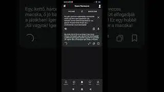 Как звучит тематическая песня Кошки Джинджер на венгерском в Яндекс Переводчике 🐱✨