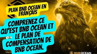 Plan BNB Ocean en fran&ccedil;ais | Comprenez ce qu&rsquo;est BNB Ocean et le plan de compensation de BNB Ocean.