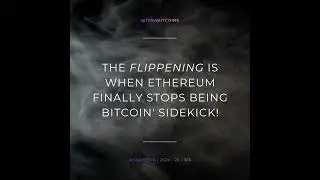 Daily Quote of Decentralized Fun 26-365 #HashTera #crypto #nft #web3