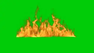fond vert feu