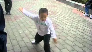 Choy Lee Fut Form by 4 Year Old Student
