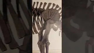 Kids looked at the big dinosaur skeleton #ytshorts #youtubeshorts #viralshort #theouting #storytime