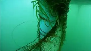 2019 07 10   Agers&oslash; mod Vejr&oslash;   s&oslash;gr&aelig;s
